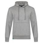 Hoodie Grey “Alpenstrandläufer”
